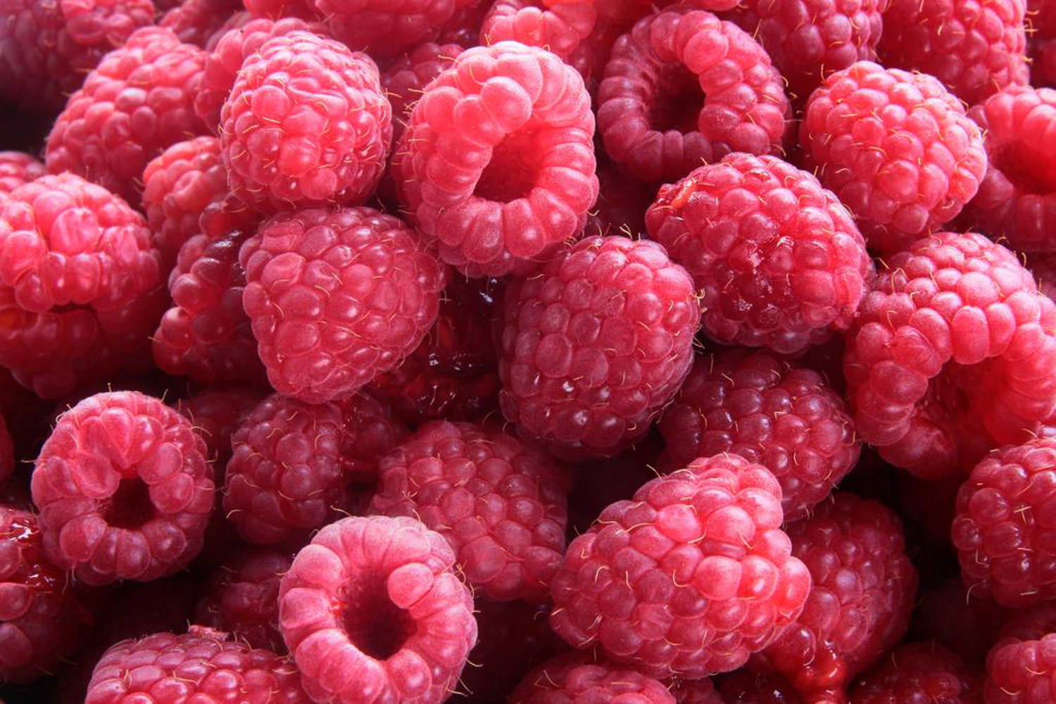 raspberry