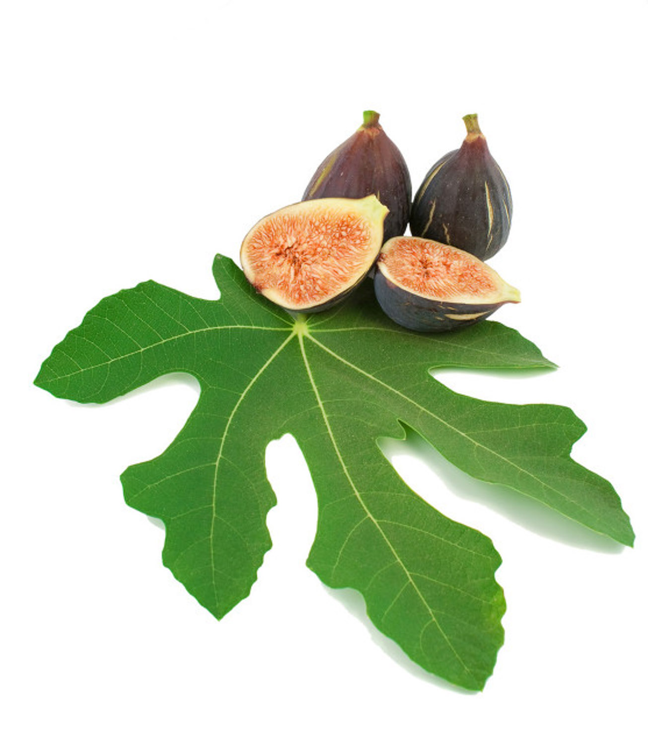 Fig