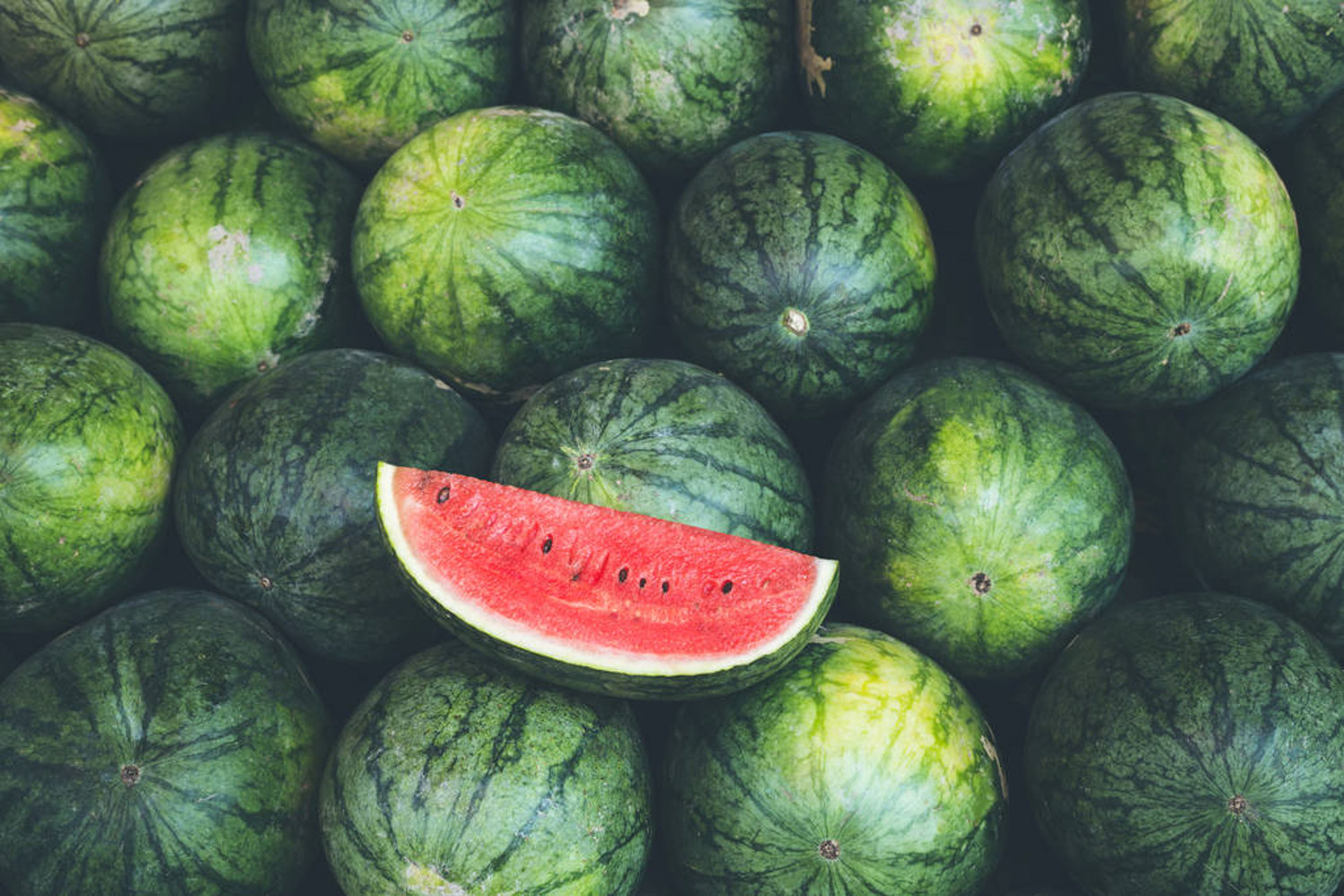 watermelon