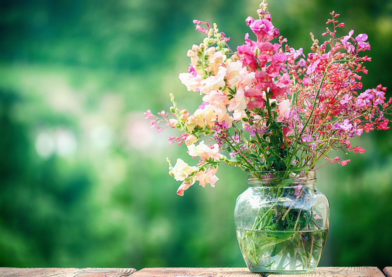 Fresh cut flowers