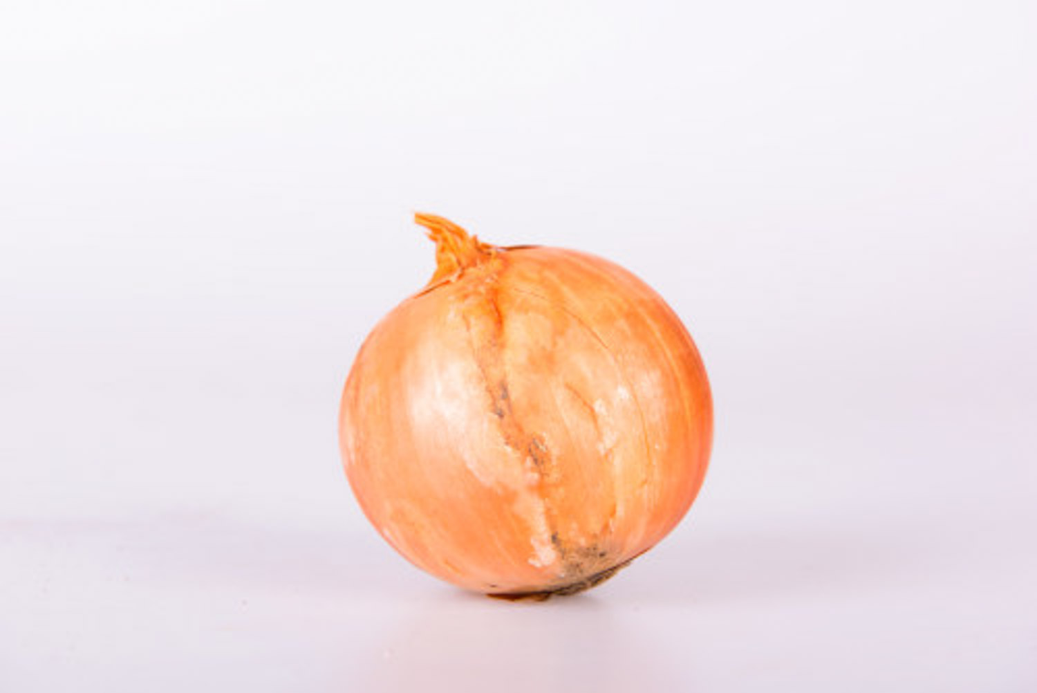 onion