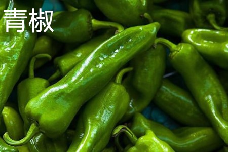 Green pepper color