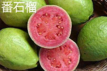 guava