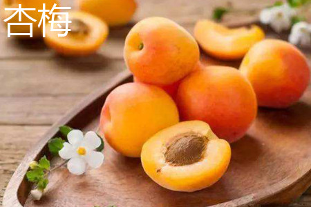 Apricot plum