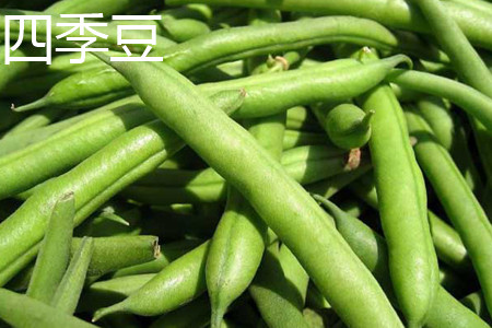 green beans