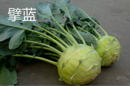 kohlrabi 