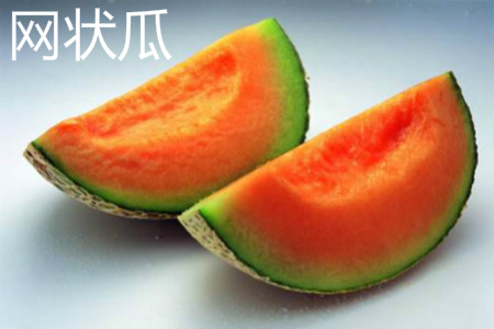 Reticulated melon