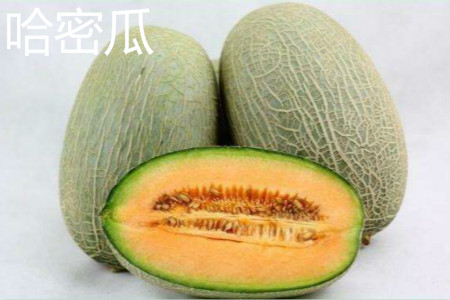 Hami melon