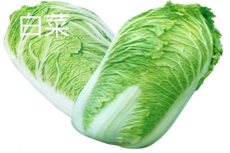 Chinese cabbage