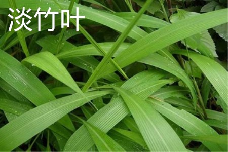 Light bamboo leaf