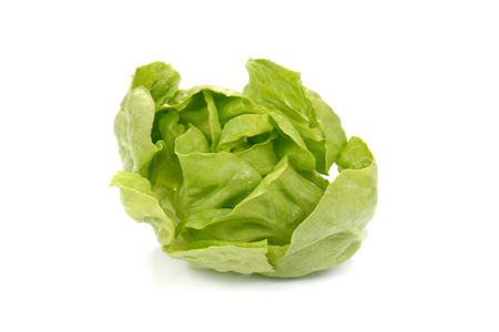 Ball lettuce