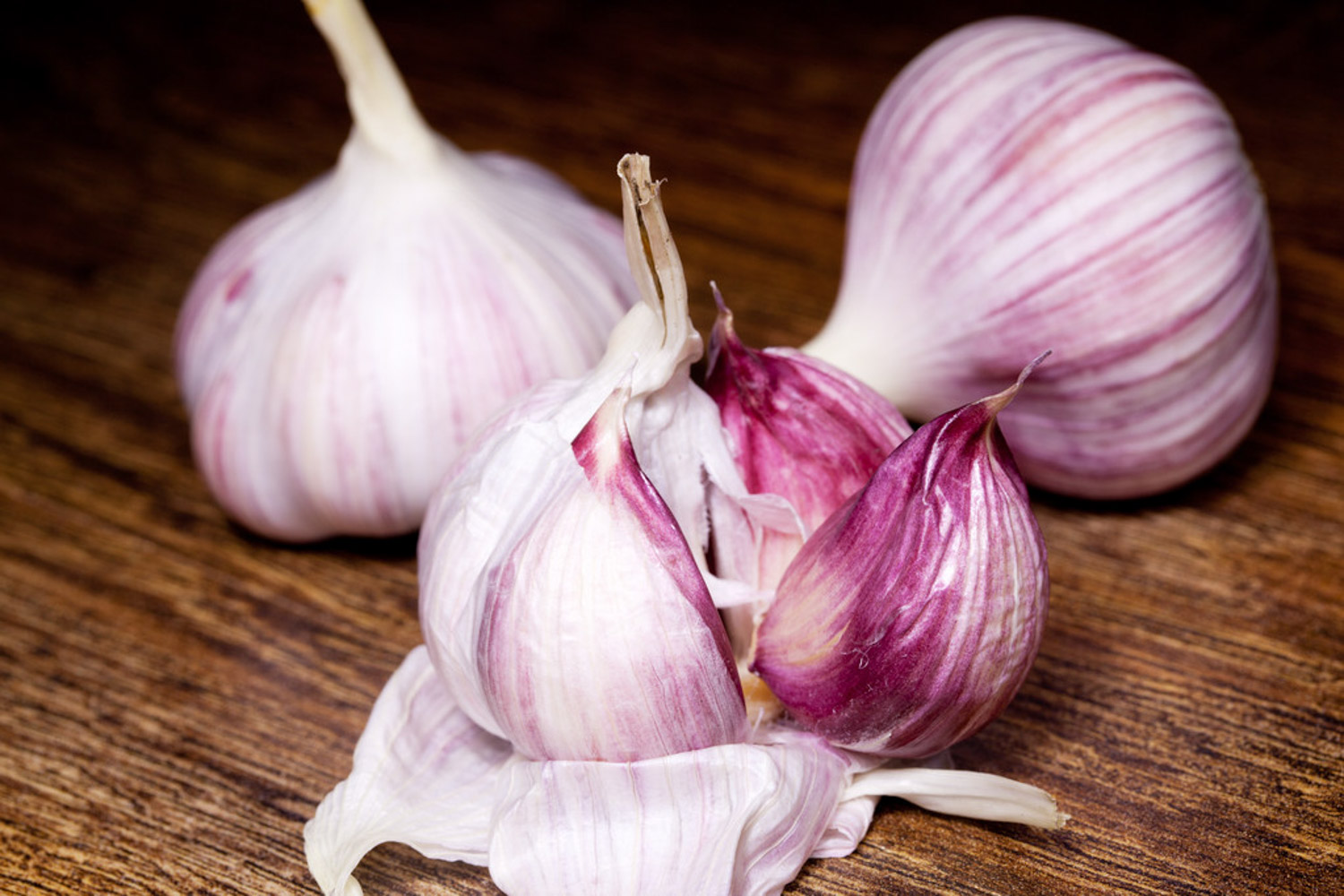 garlic