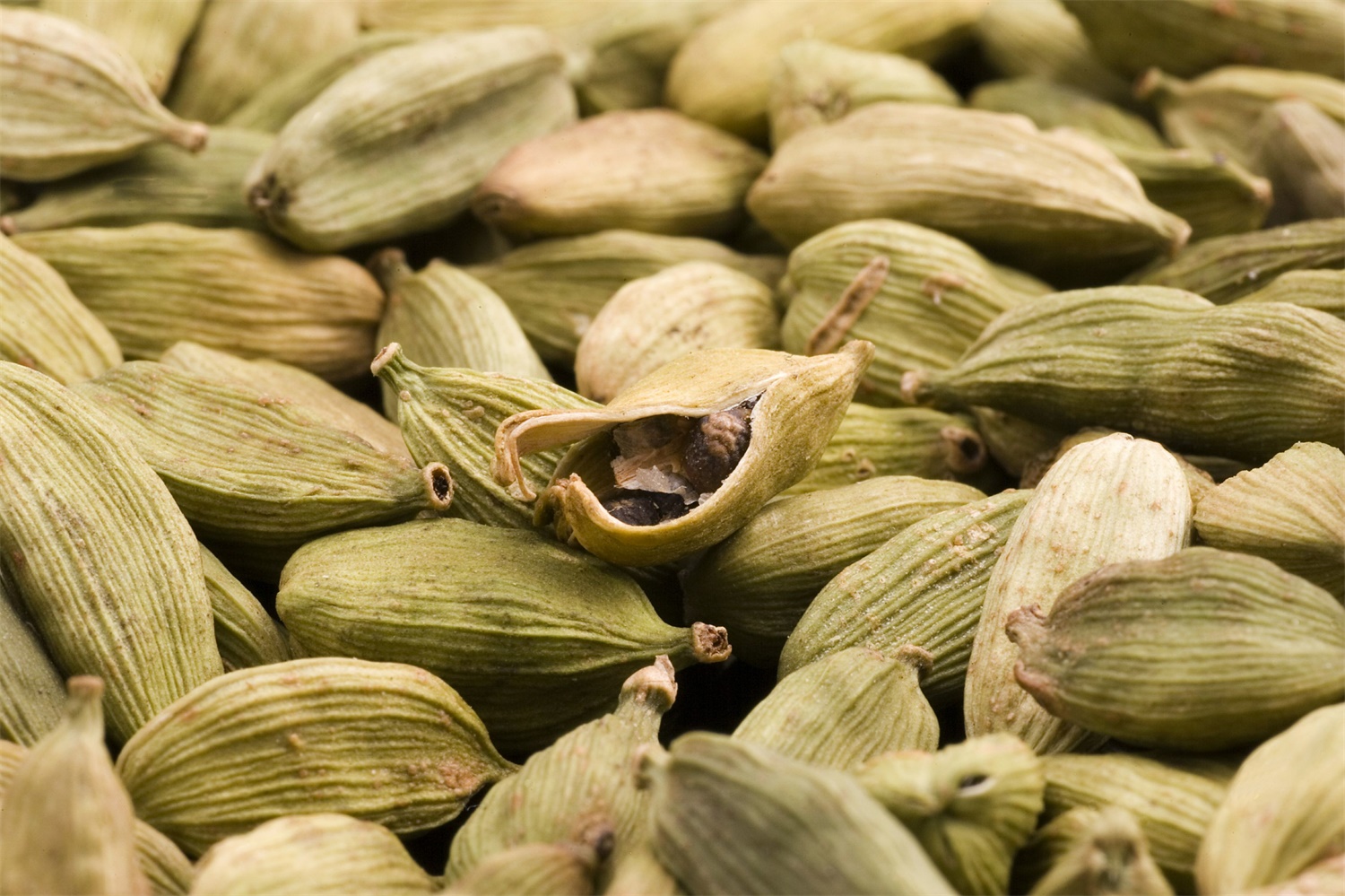 round cardamom